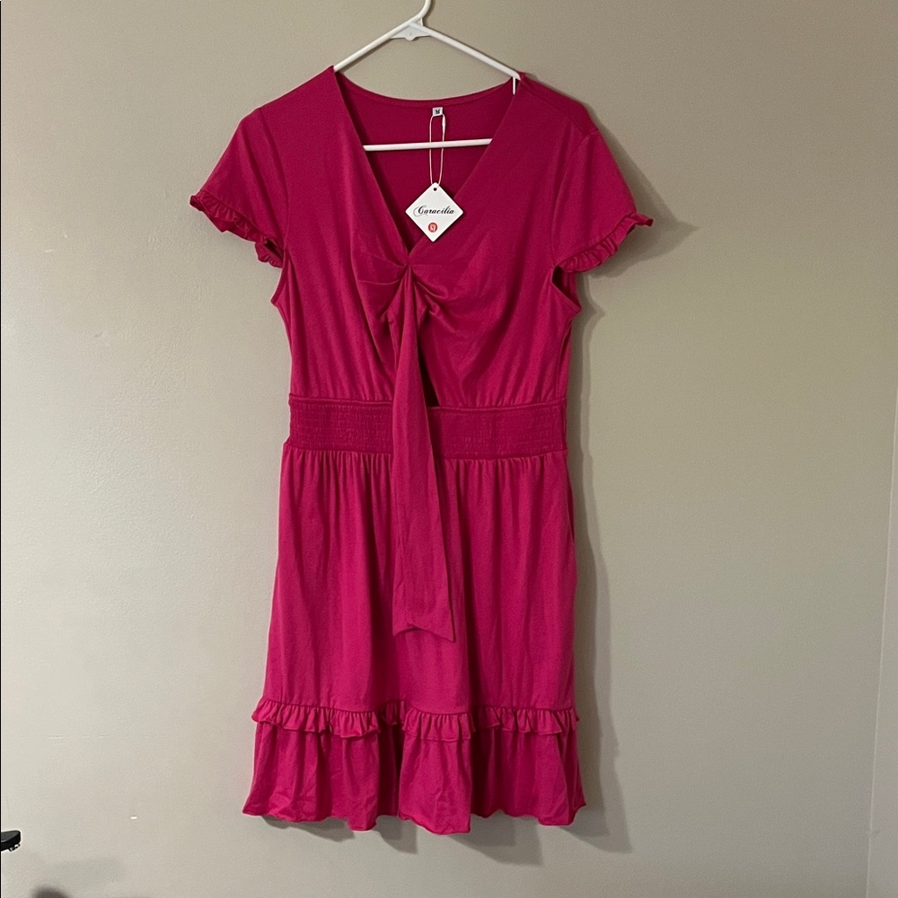 Caracilia Womens Pink Dress Size M NWT Ruffle Sleeve Smocked Waist Tie Front - Picture 3 of 10